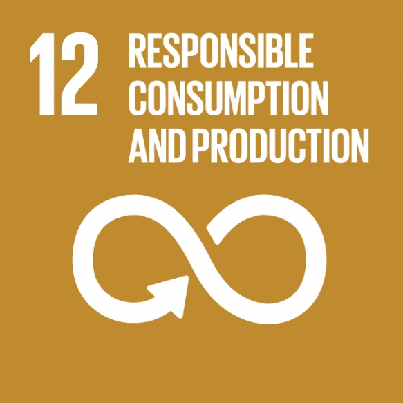 Goal 12. Ensure sustainable consumption and production patterns.