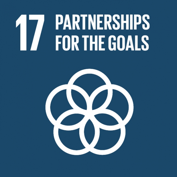 Goal 17. Revitalize the global partnership for sustainable development.