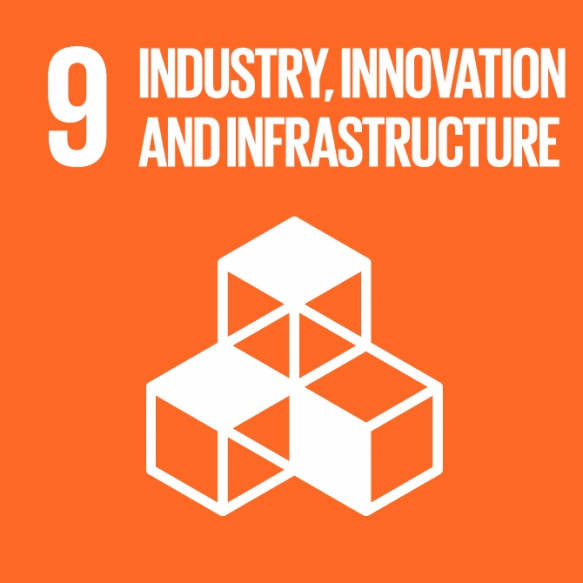 Goal 9. Build a sustainable infrastructure, promote inclusive and sustainable industrialization and foster innovation.