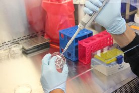 Latvijas zinātnieki izstrādā metodi, lai noteiktu koronavīrusa izplatību vidē