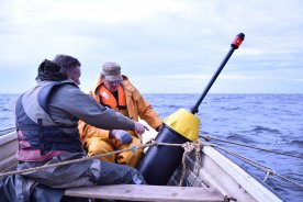 RTU izstrādāts prototips roņu atbaidīšanai no zvejas rīkiem