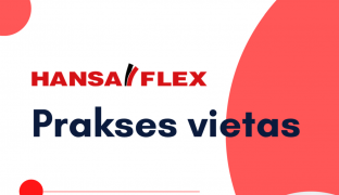 Internship at company «Hansa Flex»